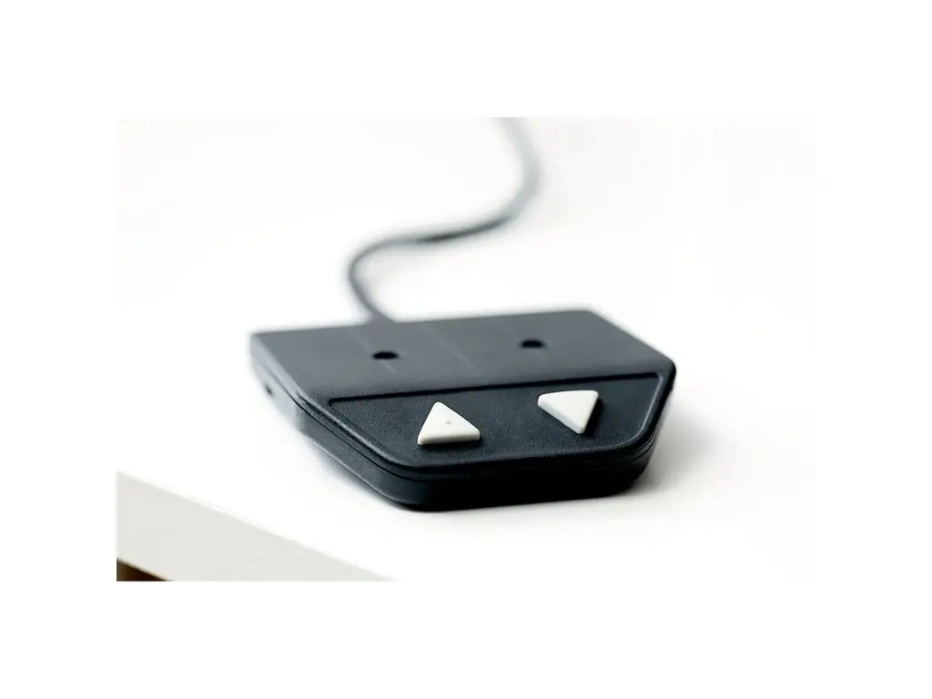 telecommande presence.webp