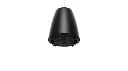 BOSE PRO Enceinte DesignMax DM3P Noir - La Paire