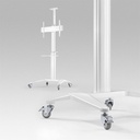 Support mobile Visioconférence pour écran  37''-70'' Hauteur 125-160cm Blanc ou Noir