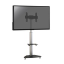 Support mobile pour écran TV 37''-65'' Hauteur 120-180cm