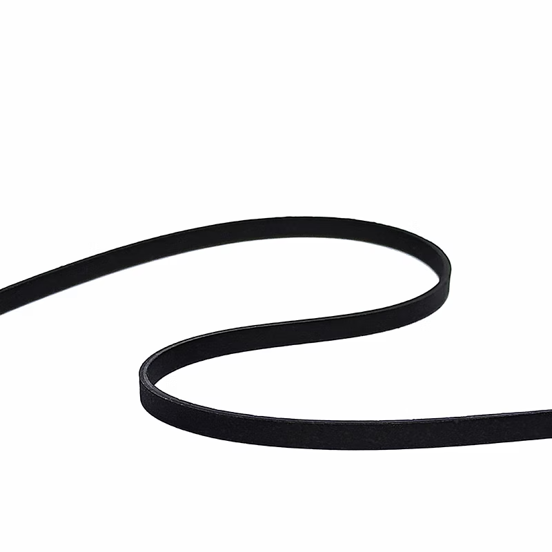 COURROIE pour platine vinyle Elipson Chroma, omega, alpha
