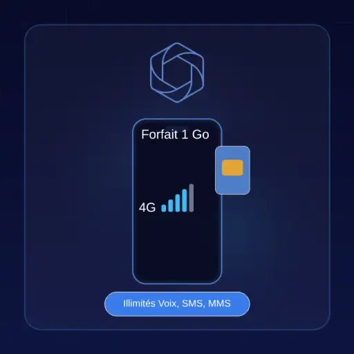 [02ILLCREBL001G00] Forfait 1 Go, illimité Voix, SMS, MMS & Data